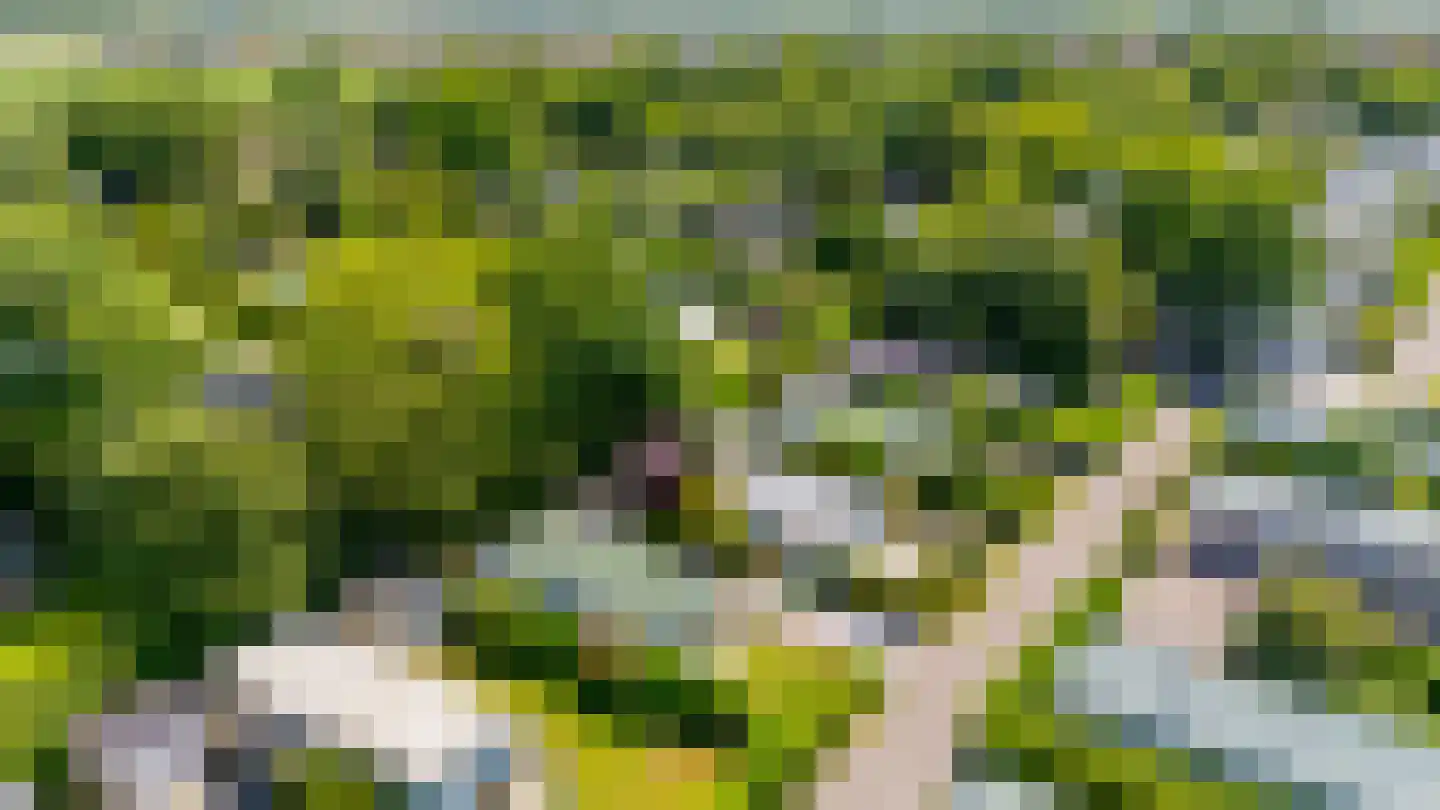 De Goede Ree 102 Goedereede thumbnail 29