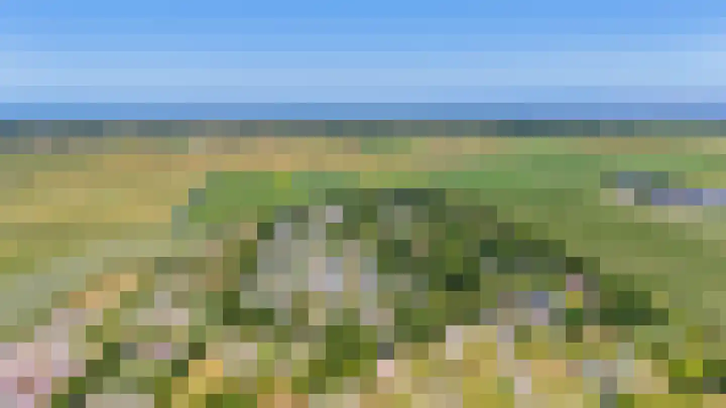 De Goede Ree 102 Goedereede thumbnail 31