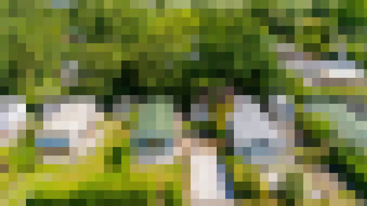 De Goede Ree 102 Goedereede thumbnail 4