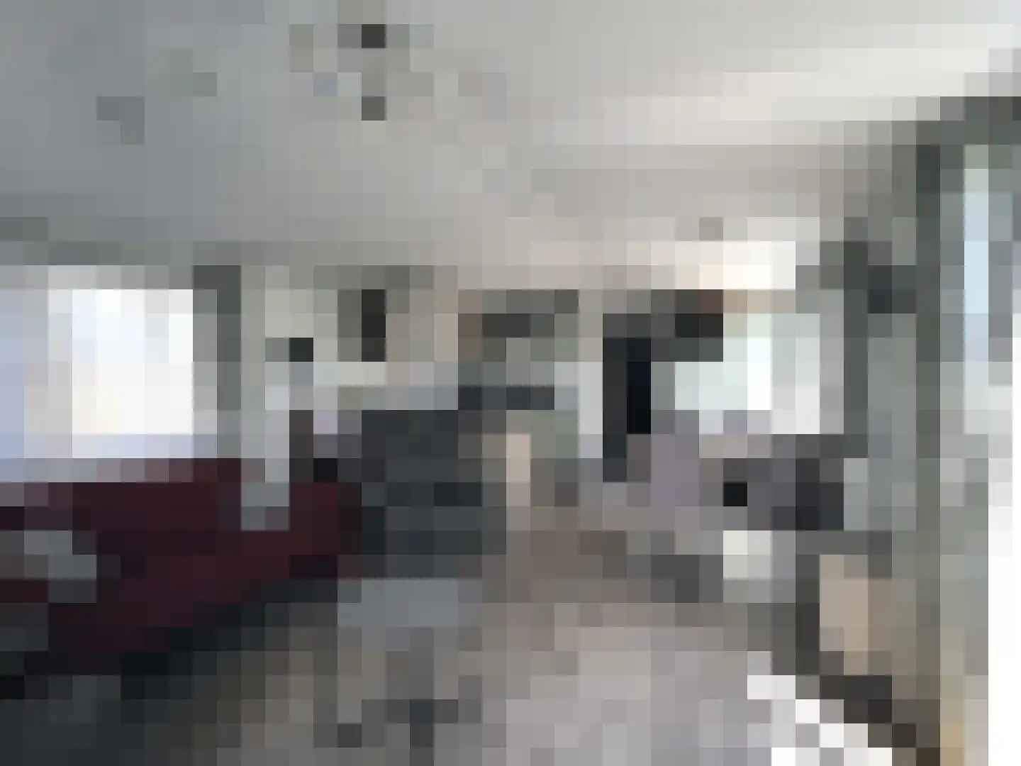 De Goede Ree 109 Goedereede thumbnail 5