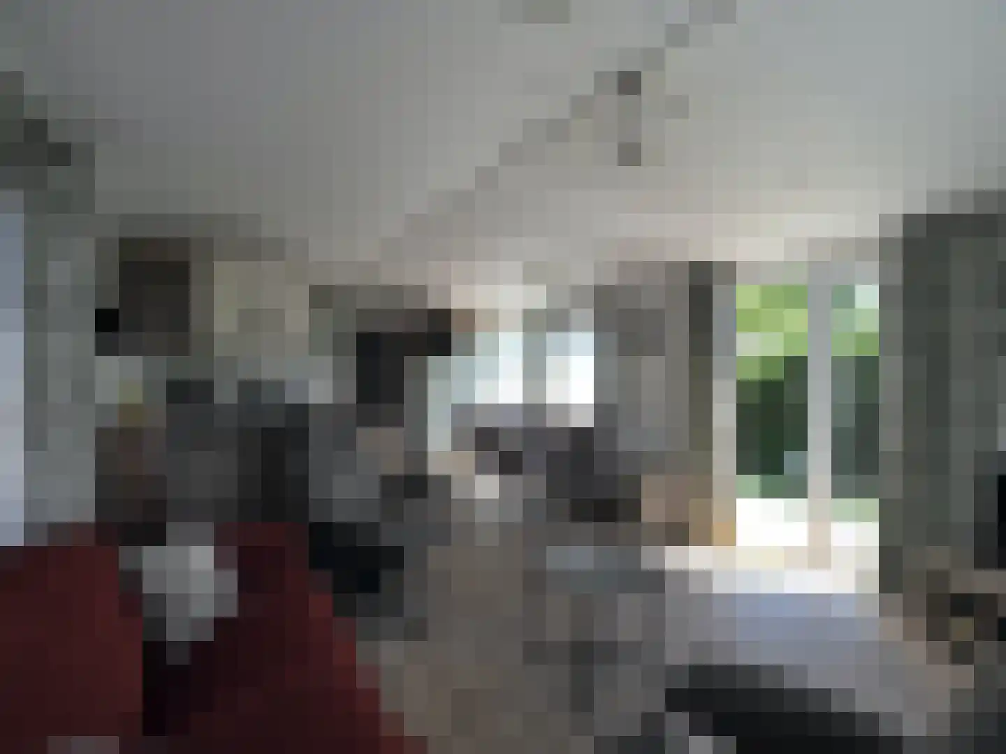 De Goede Ree 109 Goedereede thumbnail 7
