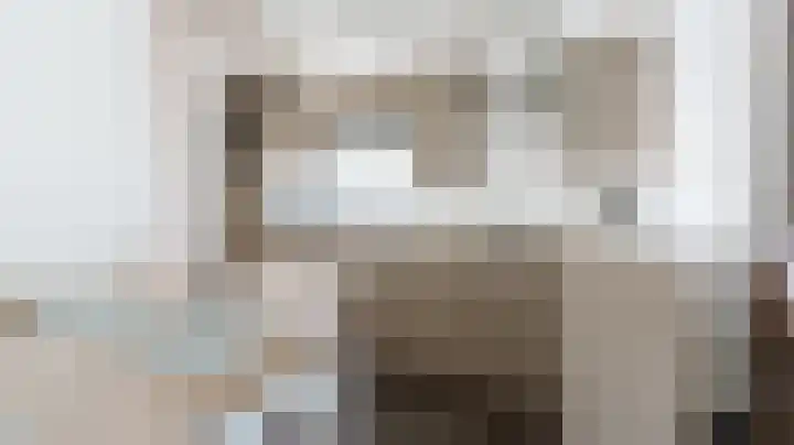 De Goede Ree 140 Goedereede thumbnail 20