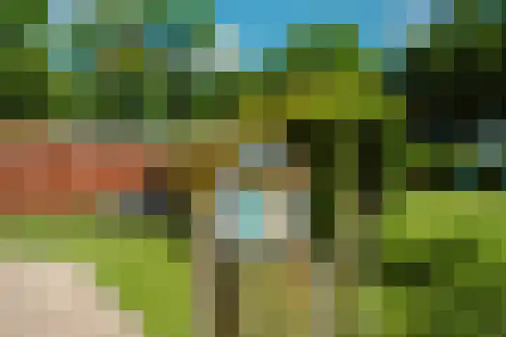De Goede Ree 140 Goedereede thumbnail 34