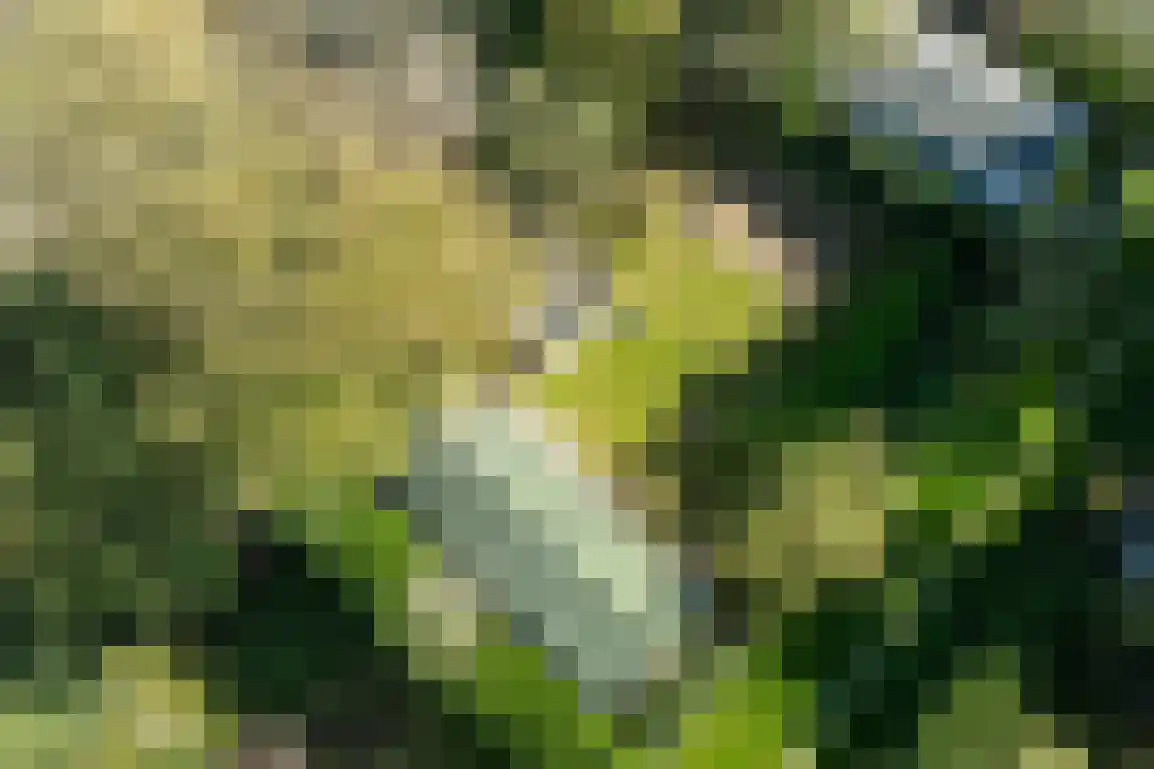 De Goede Ree 159 Goedereede thumbnail 26