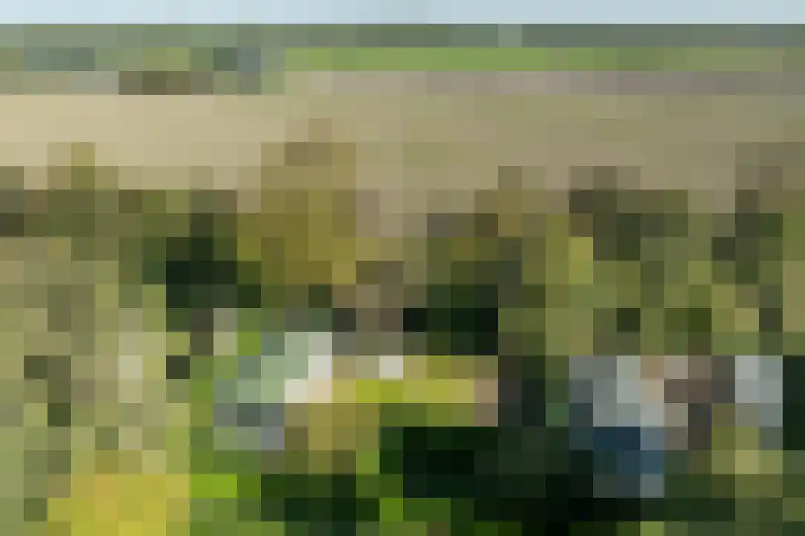 De Goede Ree 159 Goedereede thumbnail 27