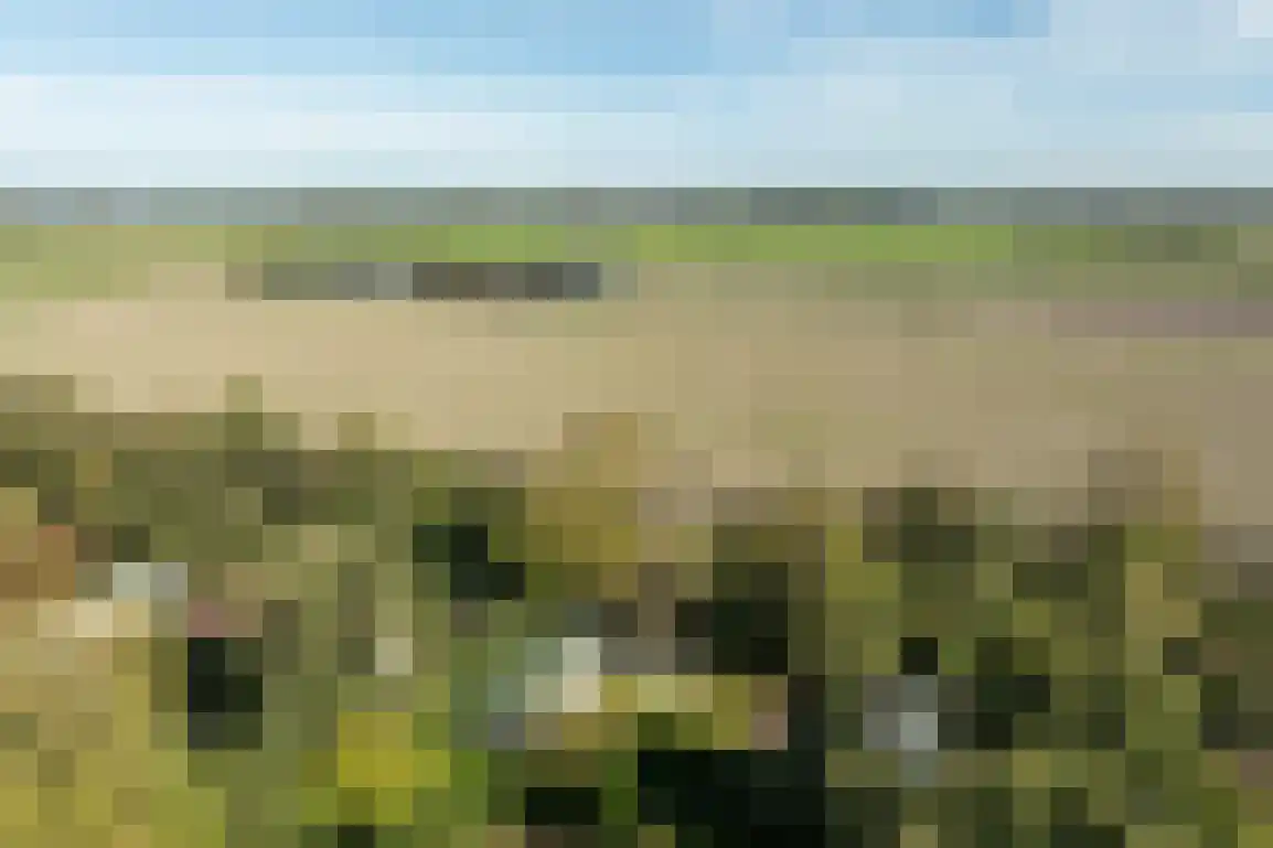 De Goede Ree 159 Goedereede thumbnail 28