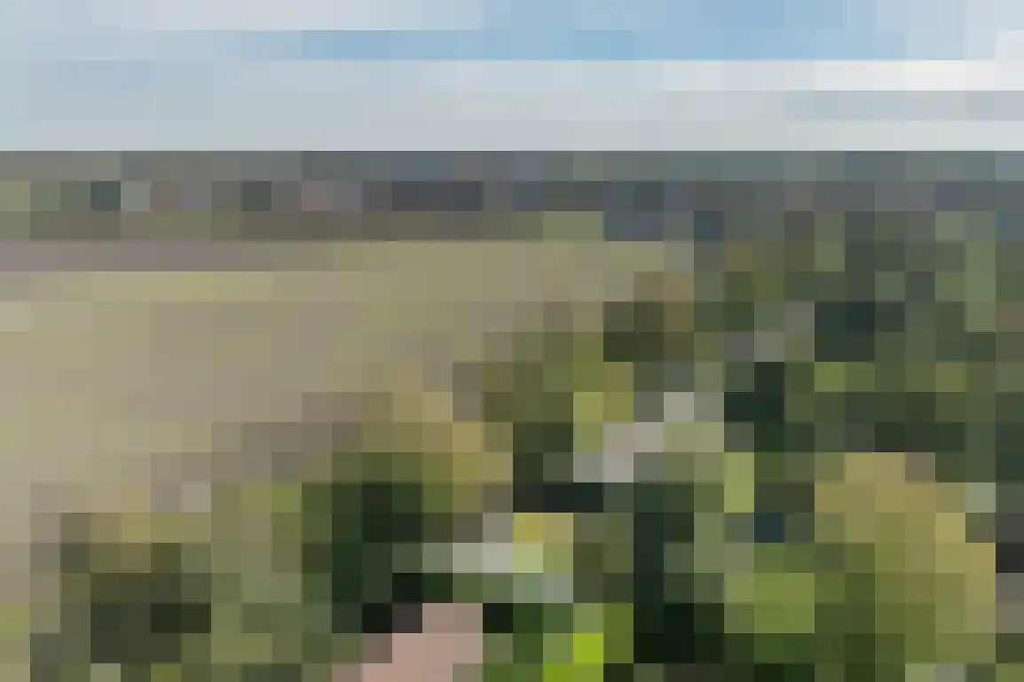 De Goede Ree 159 Goedereede thumbnail 30