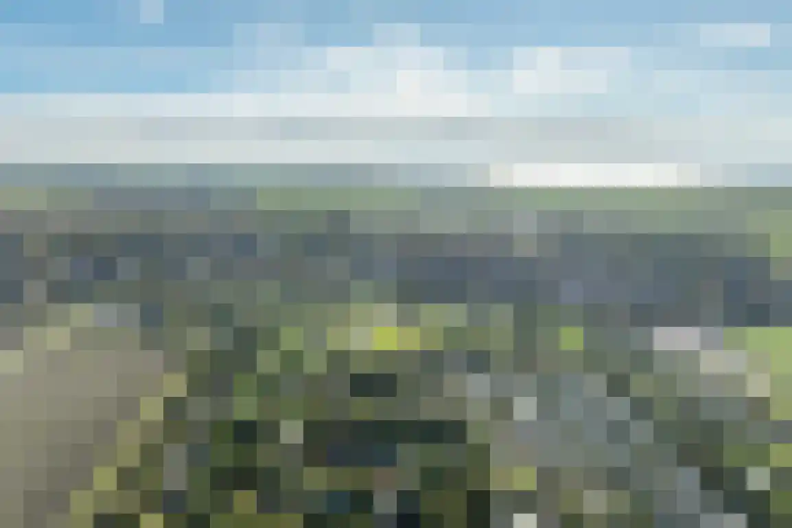De Goede Ree 159 Goedereede thumbnail 31
