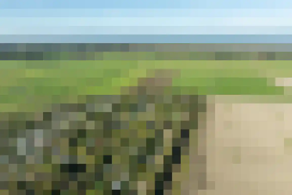 De Goede Ree 159 Goedereede thumbnail 32