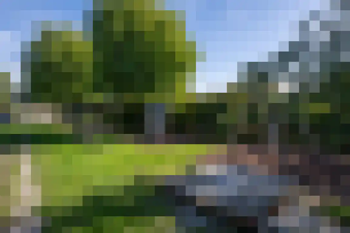 De Goede Ree 159 Goedereede thumbnail 34