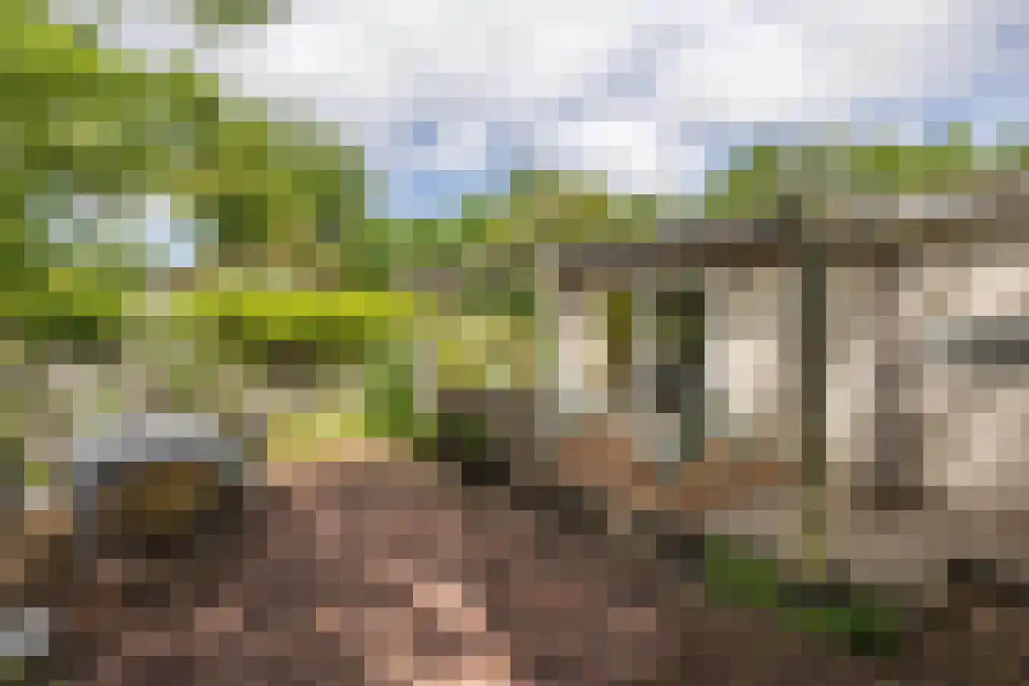De Goede Ree 173 Goedereede thumbnail 14