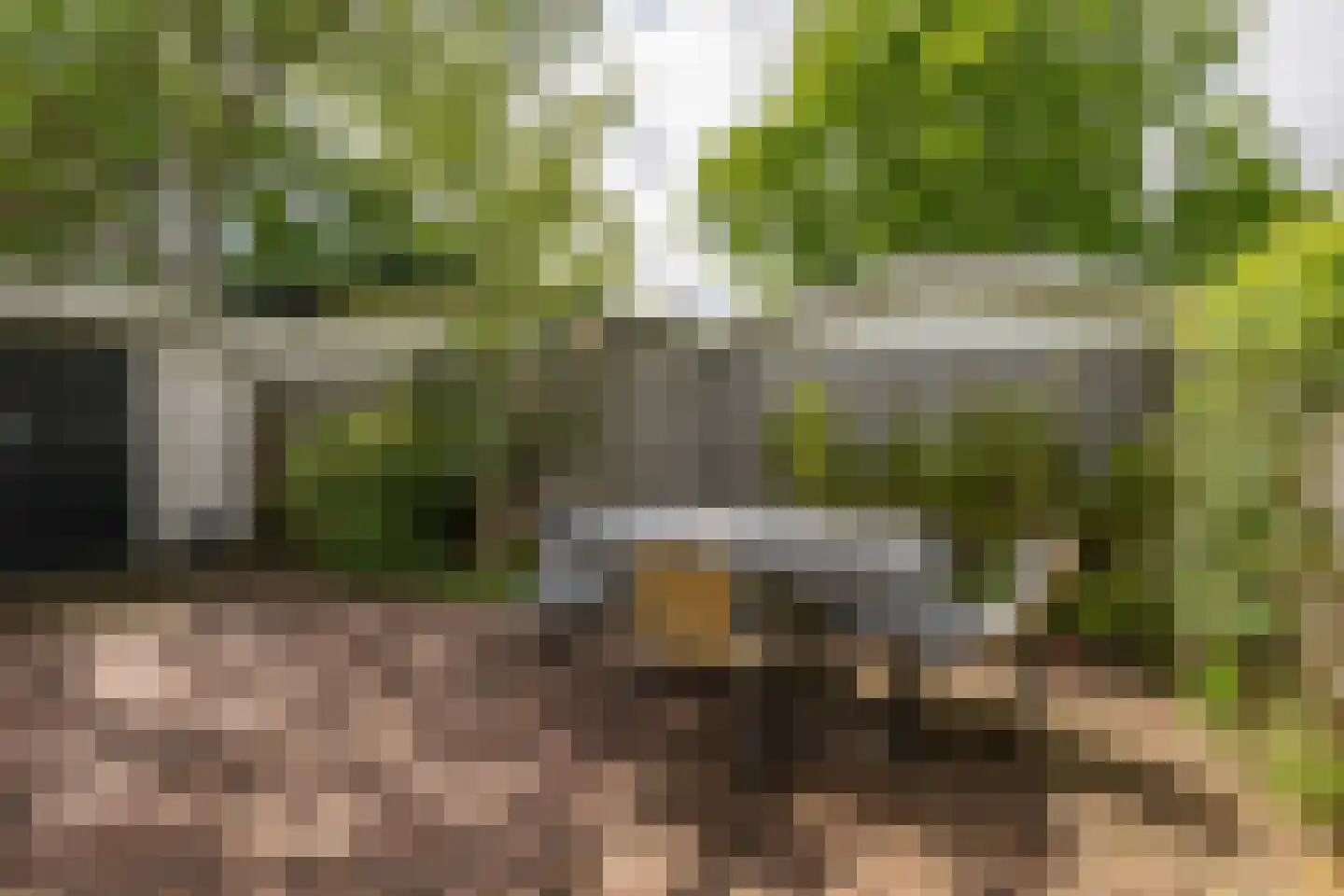 De Goede Ree 173 Goedereede thumbnail 15