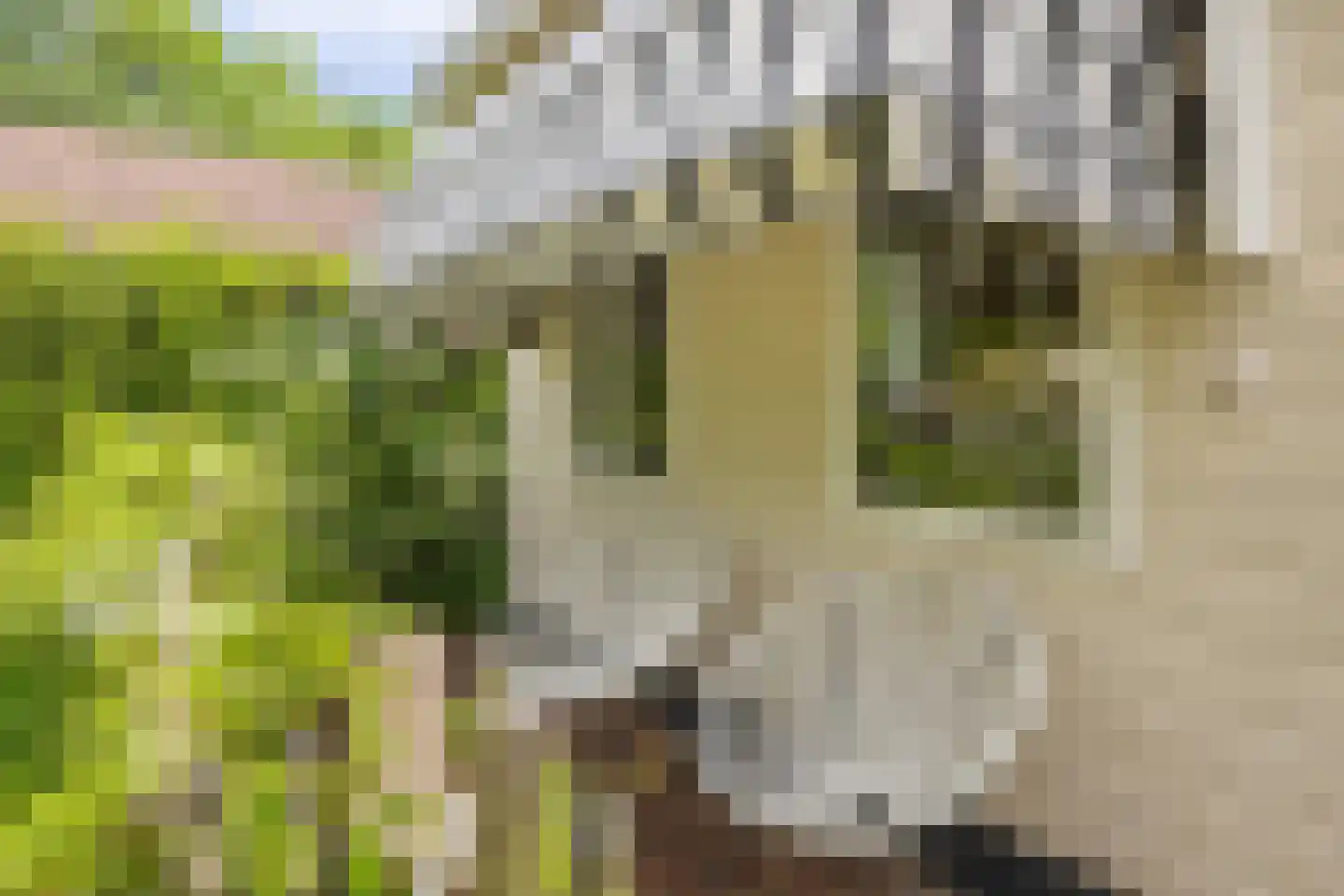De Goede Ree 173 Goedereede thumbnail 19