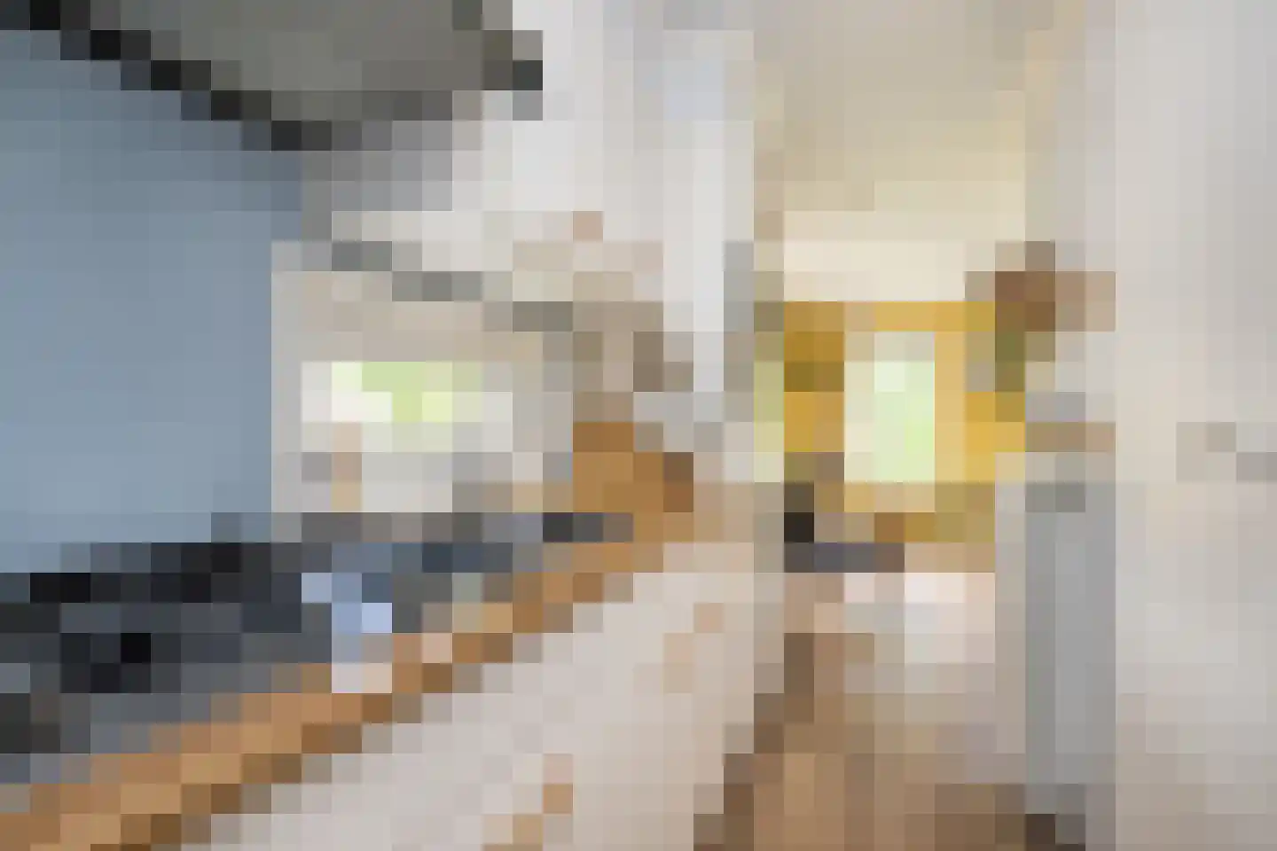 De Goede Ree 173 Goedereede thumbnail 8