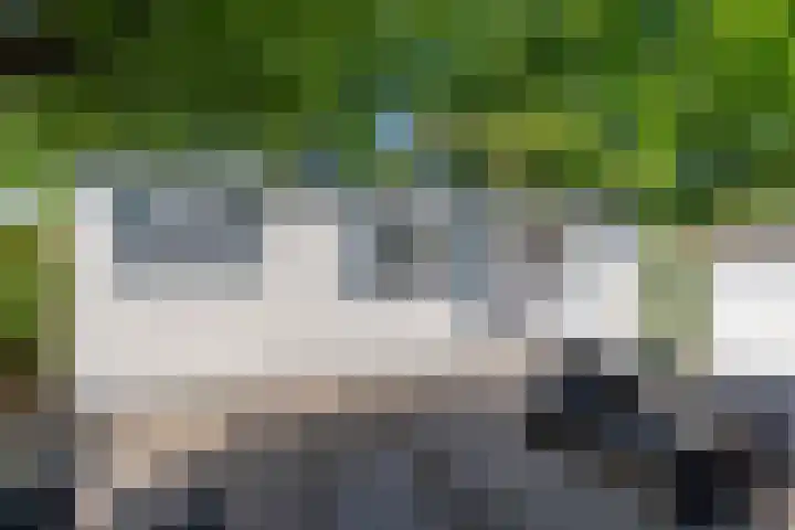 De Goede Ree 183 Goedereede