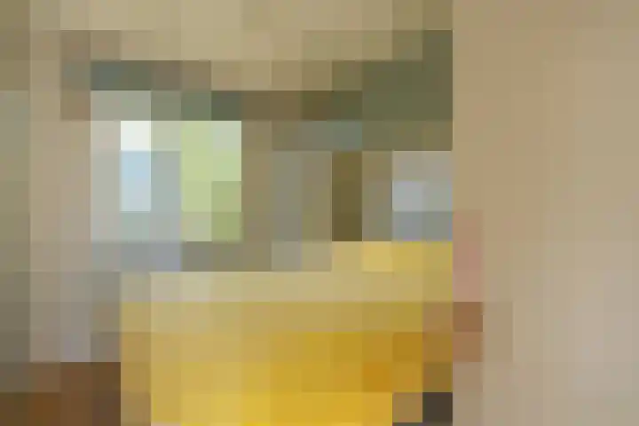 De Goede Ree 183 Goedereede thumbnail 10
