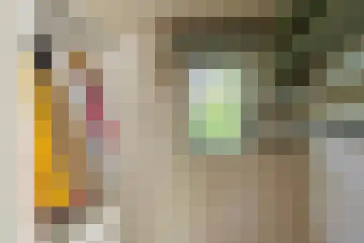 De Goede Ree 183 Goedereede thumbnail 14