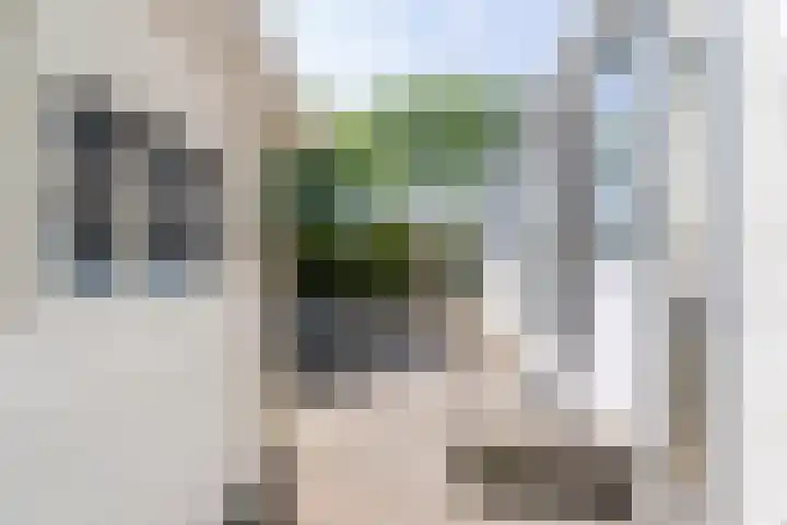 De Goede Ree 183 Goedereede thumbnail 19