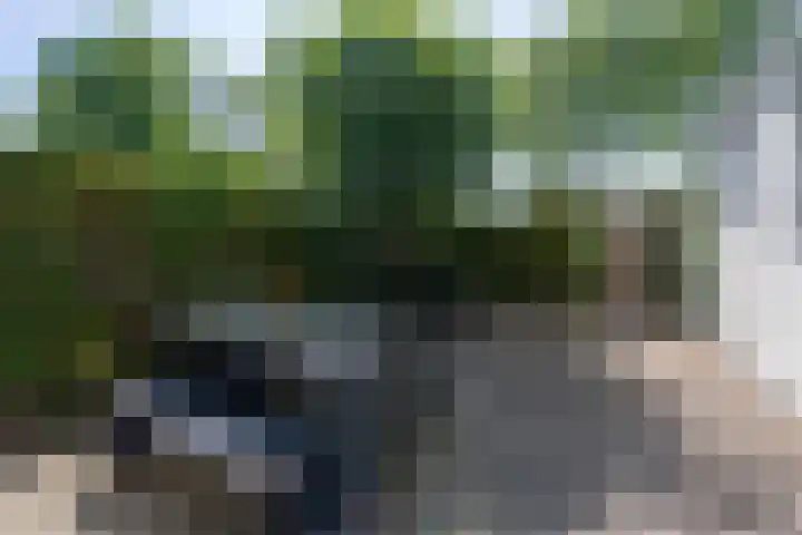 De Goede Ree 183 Goedereede thumbnail 20