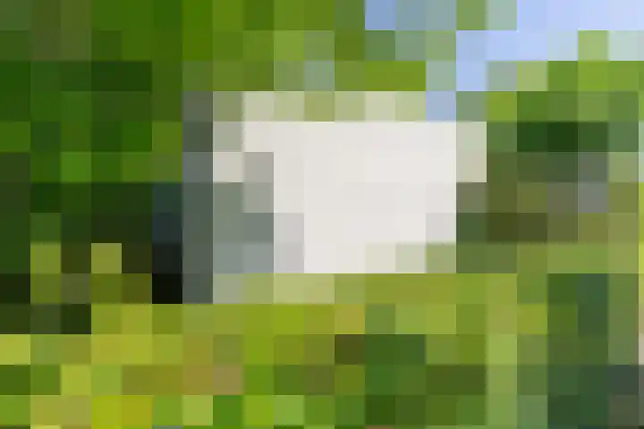 De Goede Ree 183 Goedereede thumbnail 21