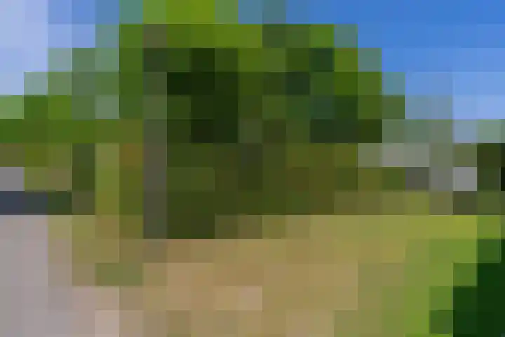 De Goede Ree 183 Goedereede thumbnail 23