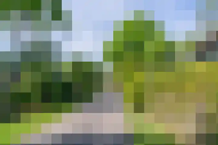 De Goede Ree 183 Goedereede thumbnail 24