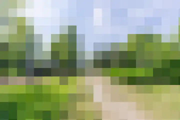 De Goede Ree 183 Goedereede thumbnail 25