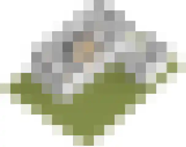 De Goede Ree 183 Goedereede thumbnail 28