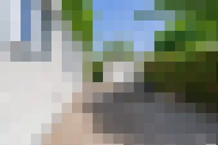 De Goede Ree 183 Goedereede thumbnail 4