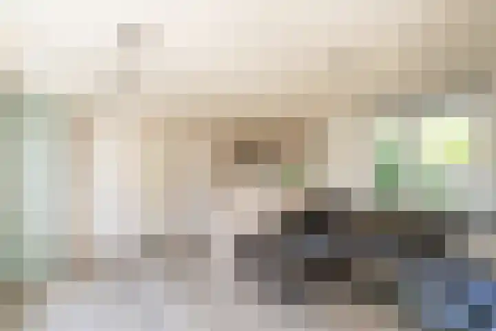 De Goede Ree 183 Goedereede thumbnail 5