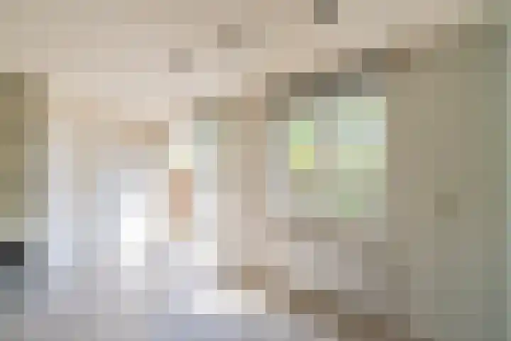 De Goede Ree 183 Goedereede thumbnail 7