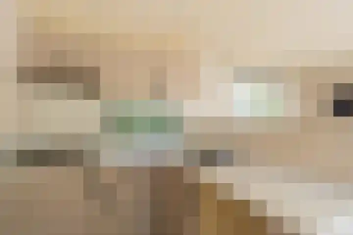 De Goede Ree 183 Goedereede thumbnail 9