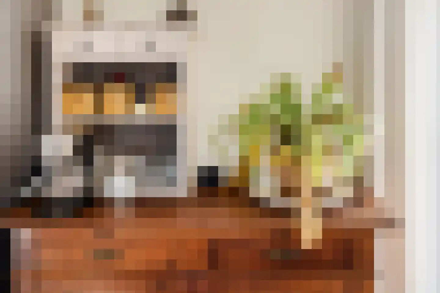 De Goede Ree 30 Goedereede thumbnail 17