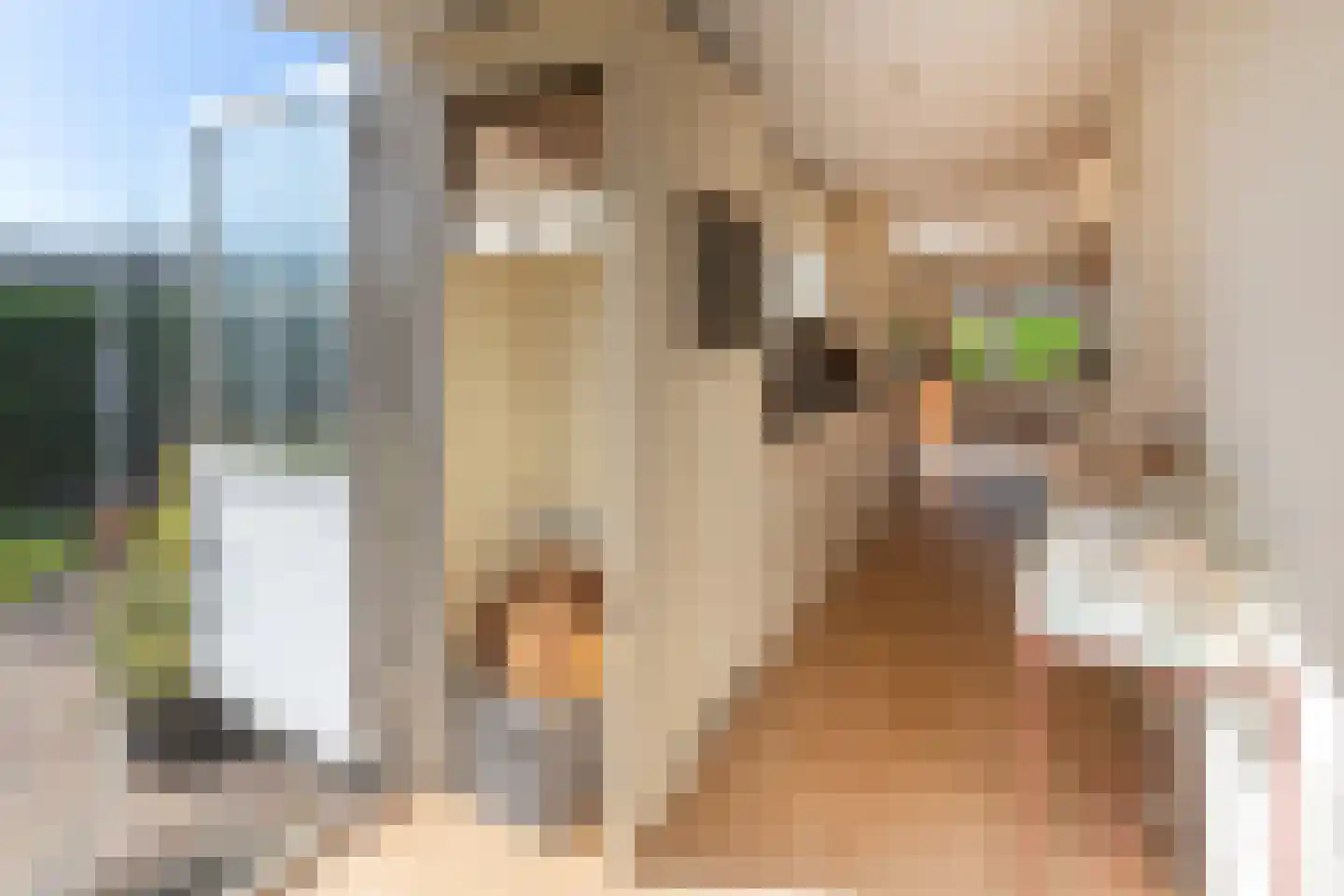 De Goede Ree 30 Goedereede thumbnail 21
