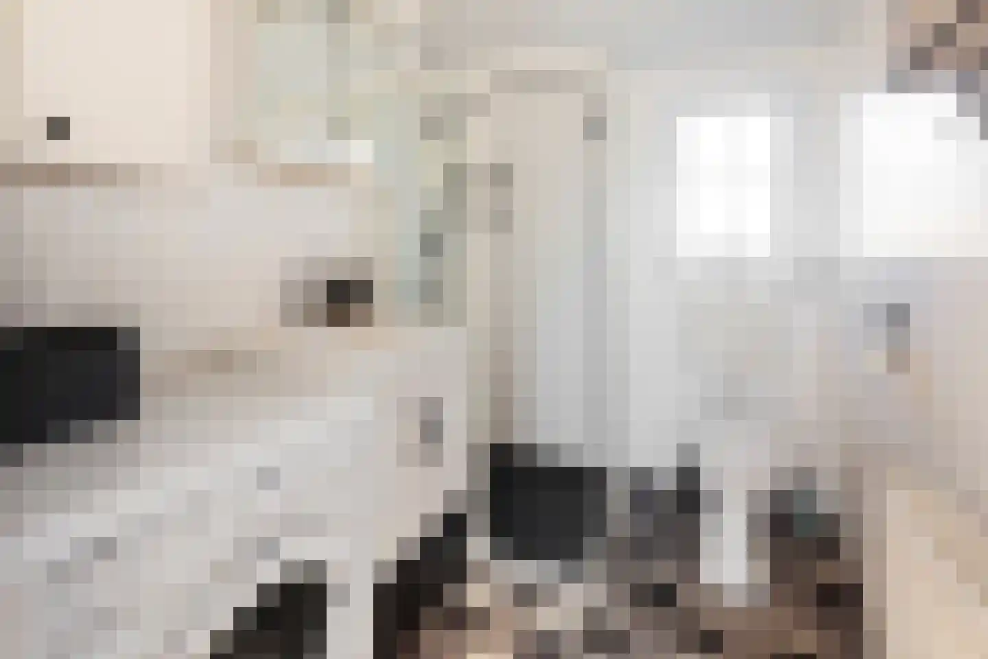 De Goede Ree 30 Goedereede thumbnail 24
