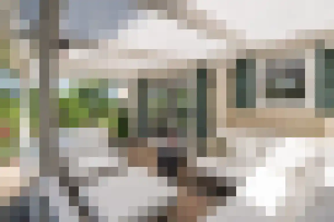 De Goede Ree 46 Goedereede thumbnail 25
