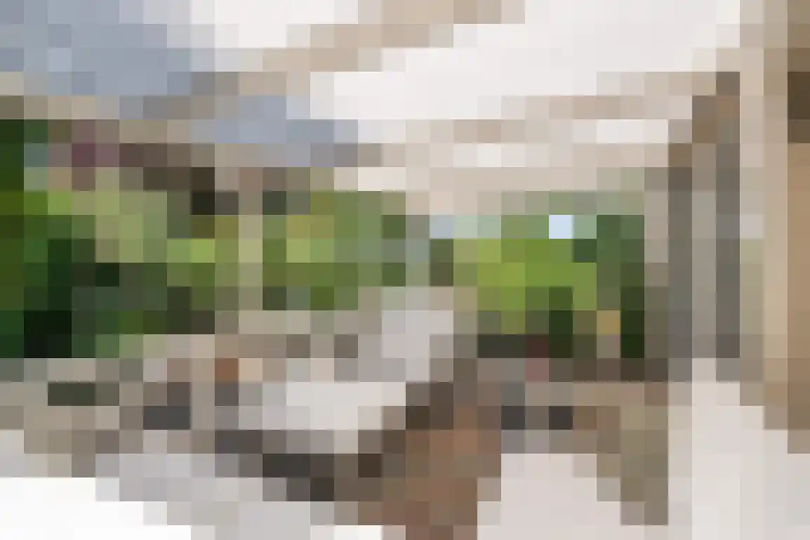 De Goede Ree 46 Goedereede thumbnail 26
