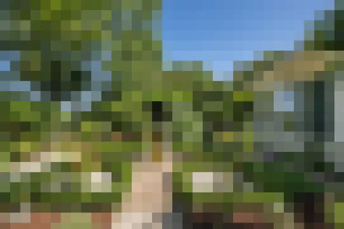De Goede Ree 46 Goedereede thumbnail 30