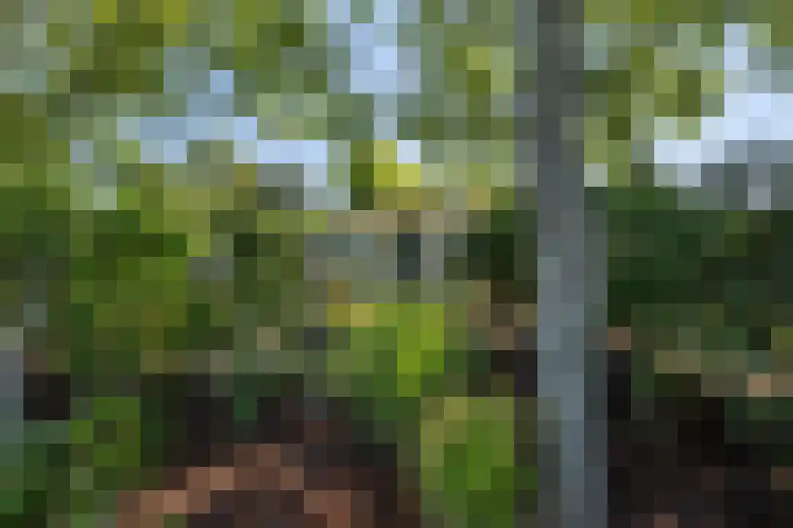 De Goede Ree 46 Goedereede thumbnail 31