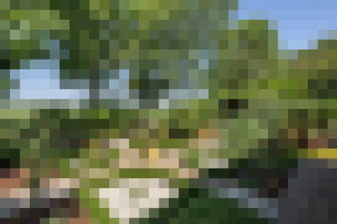 De Goede Ree 46 Goedereede thumbnail 36