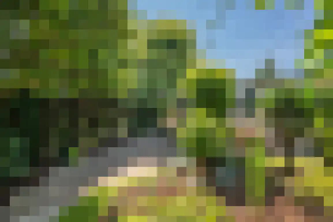 De Goede Ree 46 Goedereede thumbnail 37