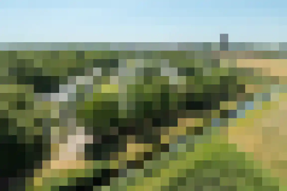 De Goede Ree 46 Goedereede thumbnail 4