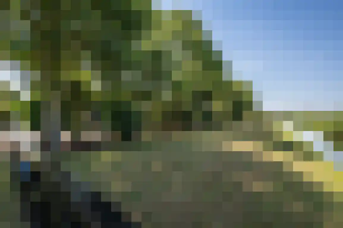 De Goede Ree 46 Goedereede thumbnail 40