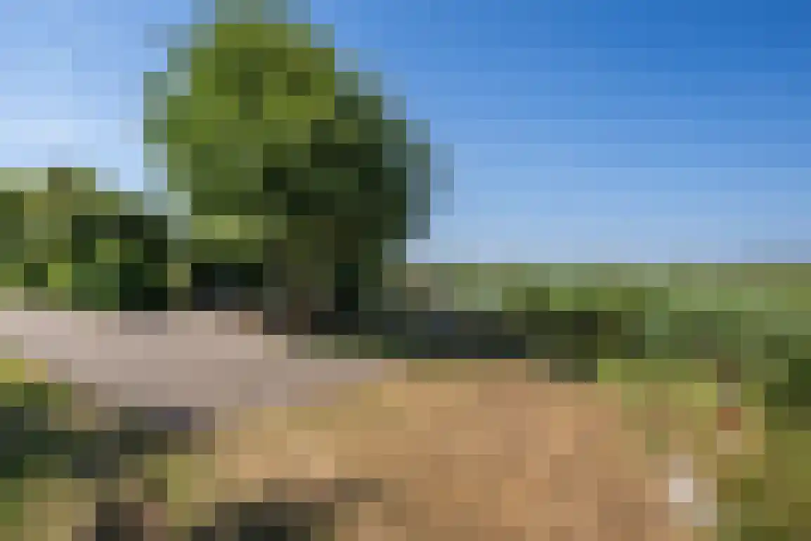 De Goede Ree 46 Goedereede thumbnail 41