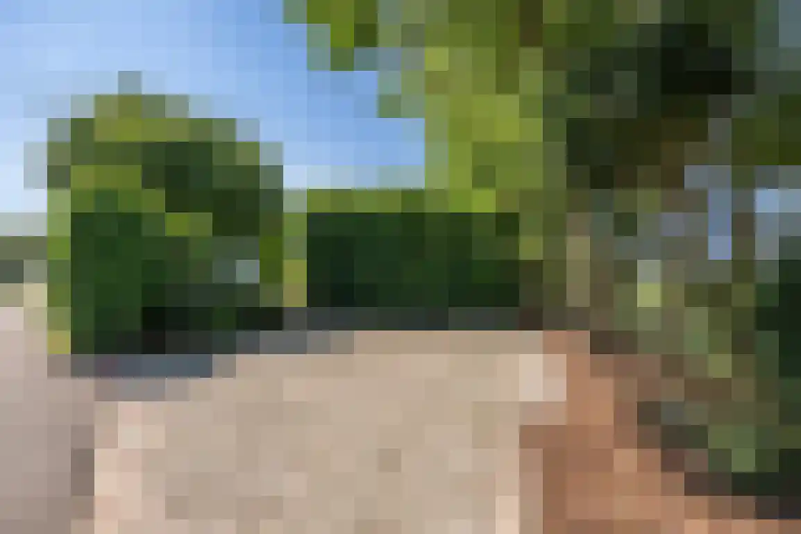 De Goede Ree 46 Goedereede thumbnail 42