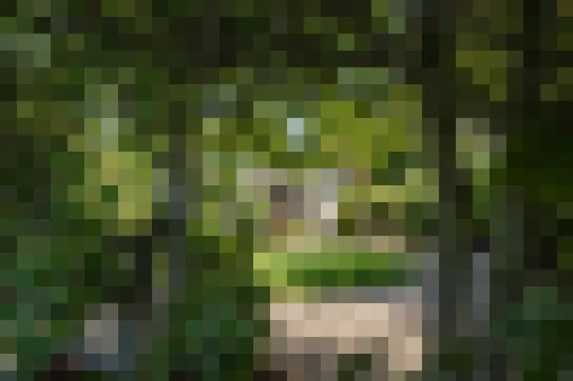 De Goede Ree 46 Goedereede thumbnail 44