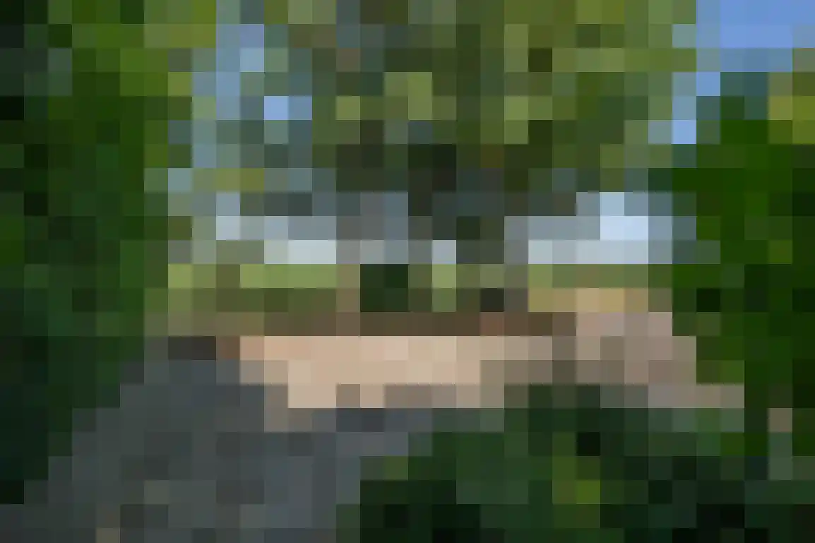 De Goede Ree 46 Goedereede thumbnail 46