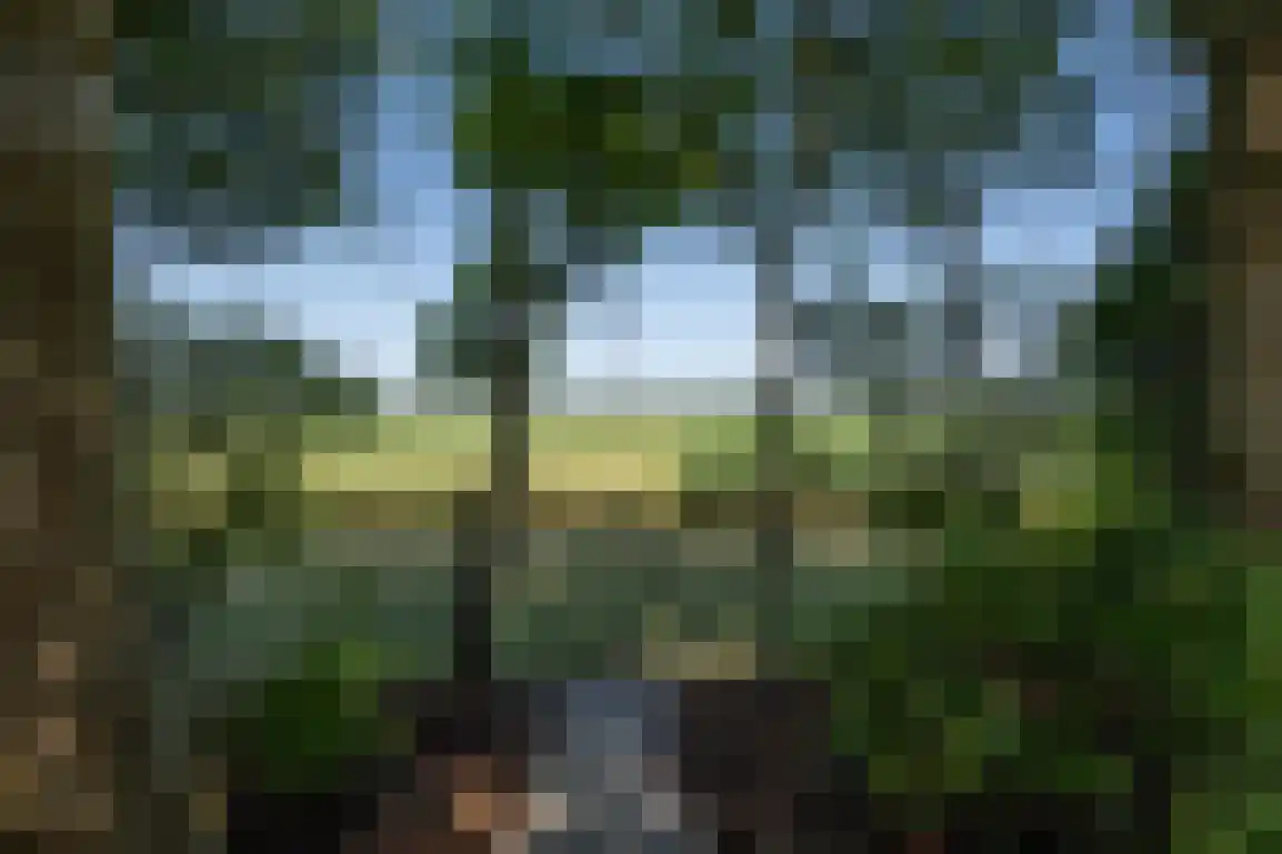 De Goede Ree 46 Goedereede thumbnail 47