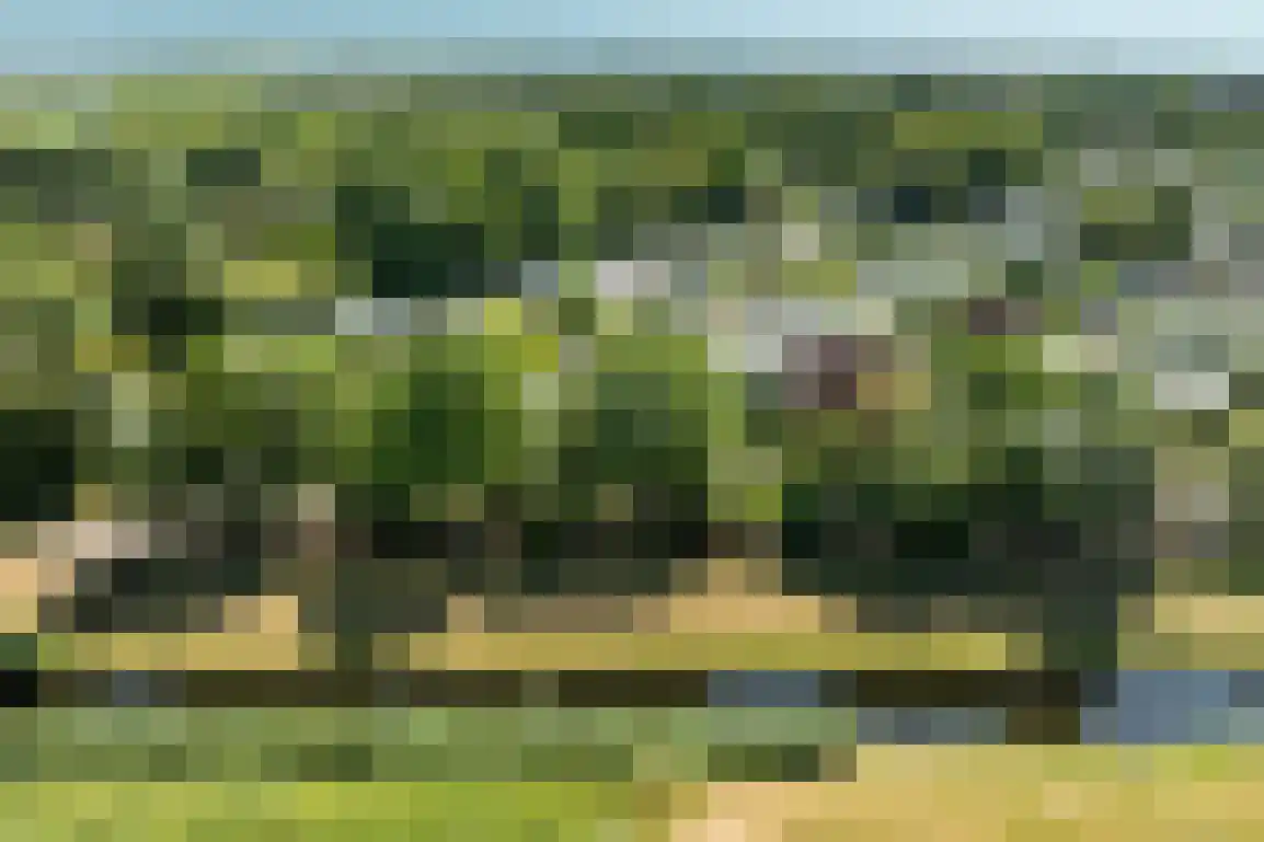 De Goede Ree 46 Goedereede thumbnail 49