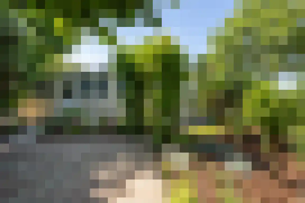 De Goede Ree 46 Goedereede thumbnail 5